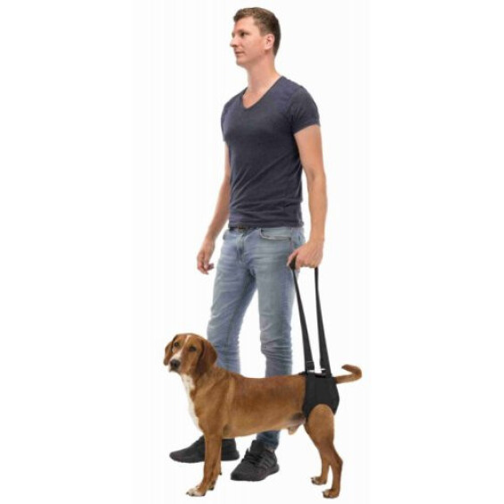 Harnais pour chien handicapé Trixie