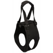 Harnais chien handicapé