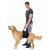 Harnais pour chien handicapé