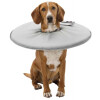 Collerette de protection en mousse pour chien et chat