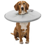 Collerette de protection mousse pour chien et chat