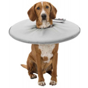 Collerette de protection en mousse pour chien et chat