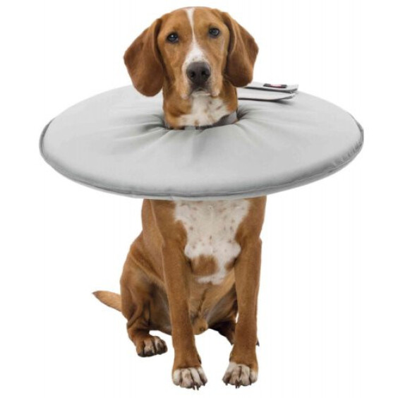 Collerette de protection en mousse pour chien et chat