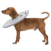 Collerette de protection en mousse pour chien et chat