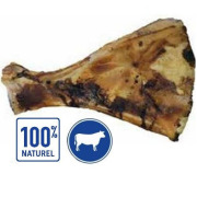 Os naturel omoplate Bubimex