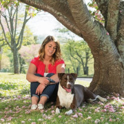 Collier de dressage chien rappel 100 mètres PetSafe