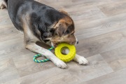 Jouet pneu avec corde pour chien destructeur 31 cm