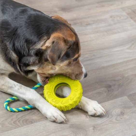 Jouet pneu avec corde pour chien destructeur 31 cm