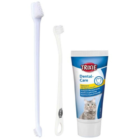 Set hygiène dentaire chat