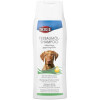 Shampoing pour chien à l'huile de théier
