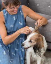 Lingettes soin oreilles Trixie