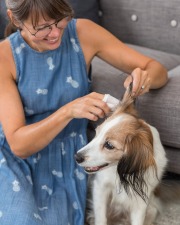 Lingettes soin des oreilles