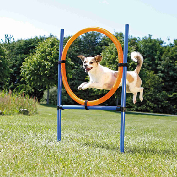 Anneau Agility