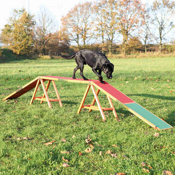 Dogwalk Agility