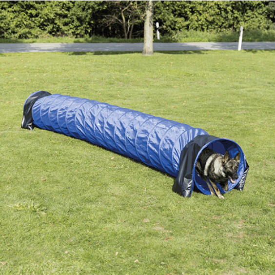 Tunnel d'agility