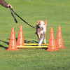 Set d'obstacle