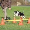 Set d'obstacle