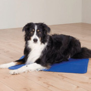 Tapis rafraîchissant pour chien bleu
