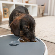 Distributeur automatique croquette TX5