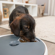 Distributeur automatique de croquettes TX5