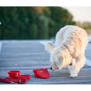 Gamelle pliable List rouge x 2 pour chien Hunter