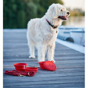 Gamelle pliable List rouge x 2 pour chien