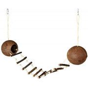 Maison en noix de coco avec échelle