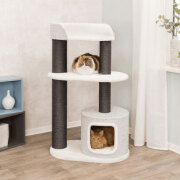 Grand Arbre à chat : XXL Géant 128 cm, solide Cara