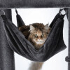 Arbre à chat solide XXL pour chat adulte hamac 163 cm