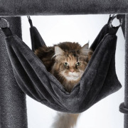 Arbre à chat solide XXL pour chat adulte hamac 163 cm
