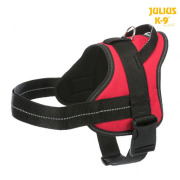 Julius K9 Harnais Pure rouge