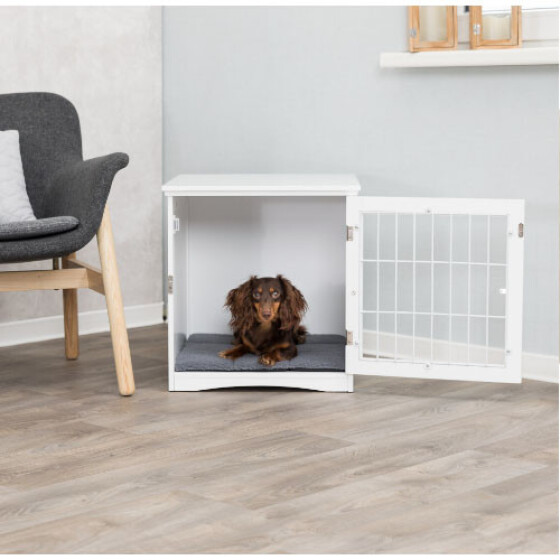 Cage pour chien maison