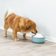 Filtre de rechange pour fontaine à eau chat céramique ultra silencieuse