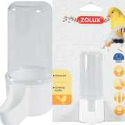 Abreuvoir oiseau bec droit