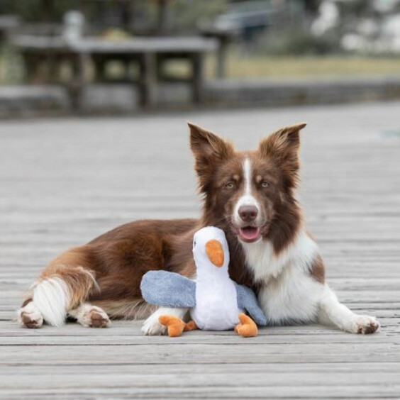 Peluche Mouette Hinnerk