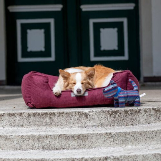 Panier lit pour chien Talis Baie