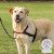 Harnais anti traction Lead'n'Walk Soft