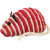 Souris en sisal avec herbe à chat