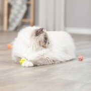 Lot de 4 balles avec bosses