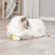 Lot de 4 balles avec bosses