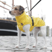Imperméable pour chien Vimy jaune