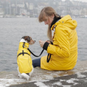 Imperméable pour chien Vimy jaune