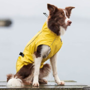 Imperméable pour chien Vimy jaune