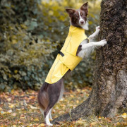 Imperméable pour chien Vimy jaune