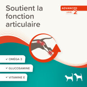 Pâte pour articulations