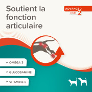 Pâte pour articulations Beaphar