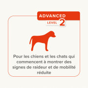 Pâte pour articulations