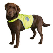 Gilet fluo jaune pour chien