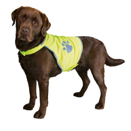 Gilet fluo pour chien, jaune