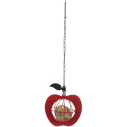 Mangeoire boule de graisse pomme